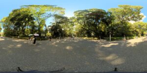 明治神宮の参道と周囲の木々、青空を見渡す360度写真